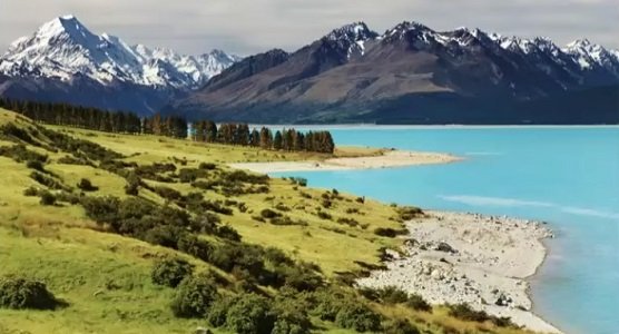 modere new zealand shaklee nz 1 2